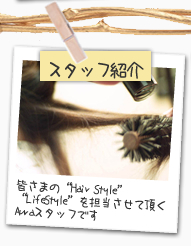 スタッフ紹介 皆さまの“Hair Style”“Life Style”を担当させて頂くAuraスタッフです