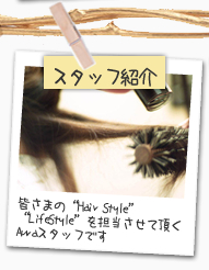 X^btЉ F܂́gHair StylehgLife StylehSĒAuraX^btł